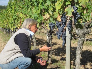 Pascale inspects the results of her organic work in the vineyard.