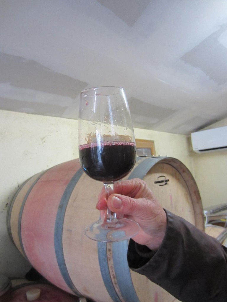 Pascale holds up a beautiful tasting glass of Cabernet Franc Cloud9 2012 