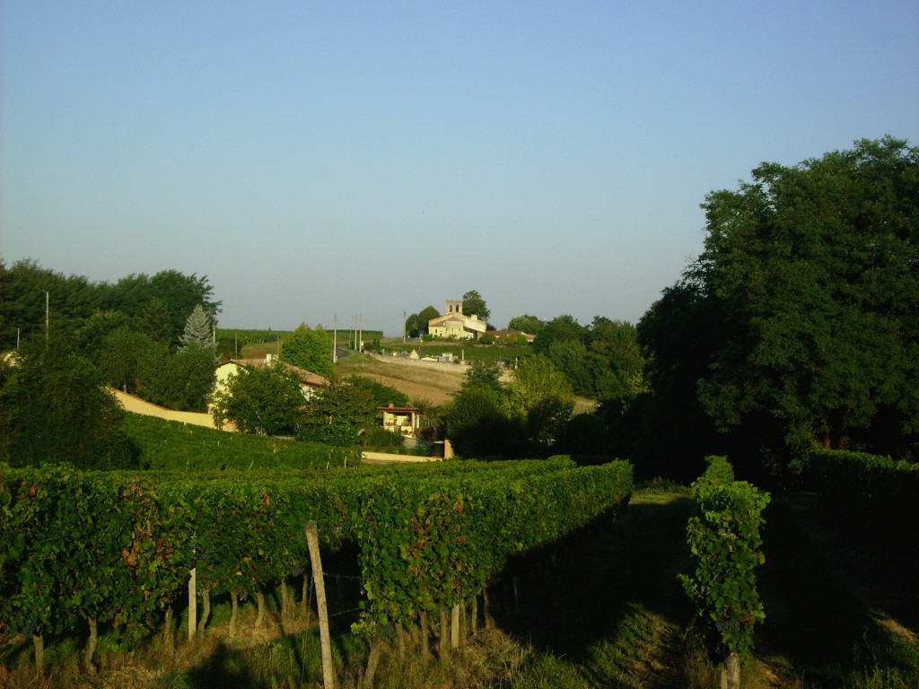 The view that inspires us everyday. The Hourcat Sud vineyard and Cardan church.