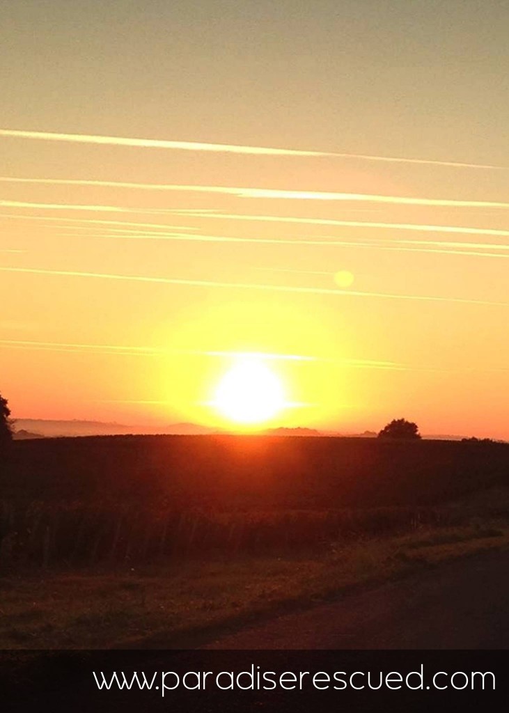 Sunrise on Harvest Day - inspiring!
