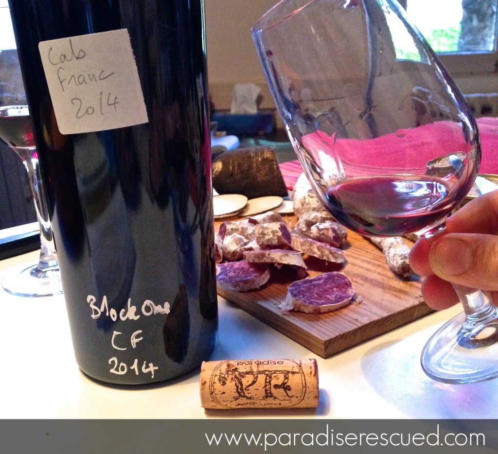 Taste Test - Paradise Rescued B1ockOne Cabernet Franc 2014. Superb!
