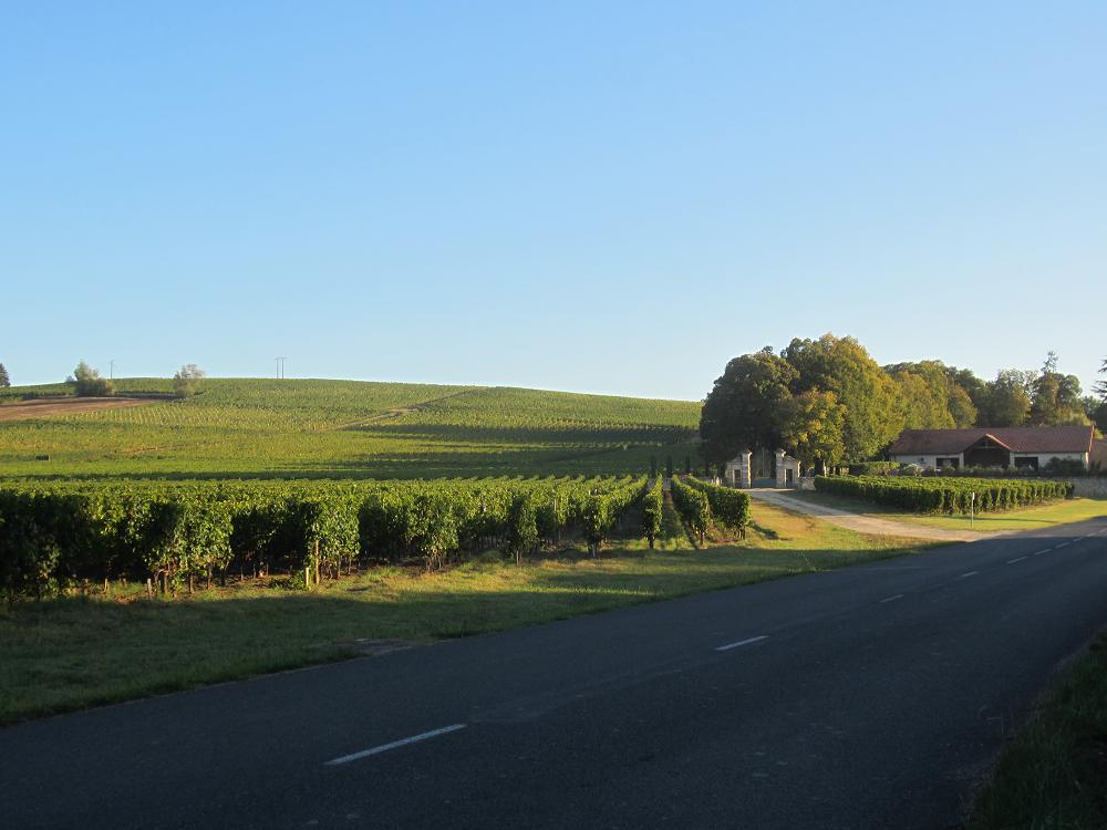 South facing vineyards at Beguey, Bordeaux