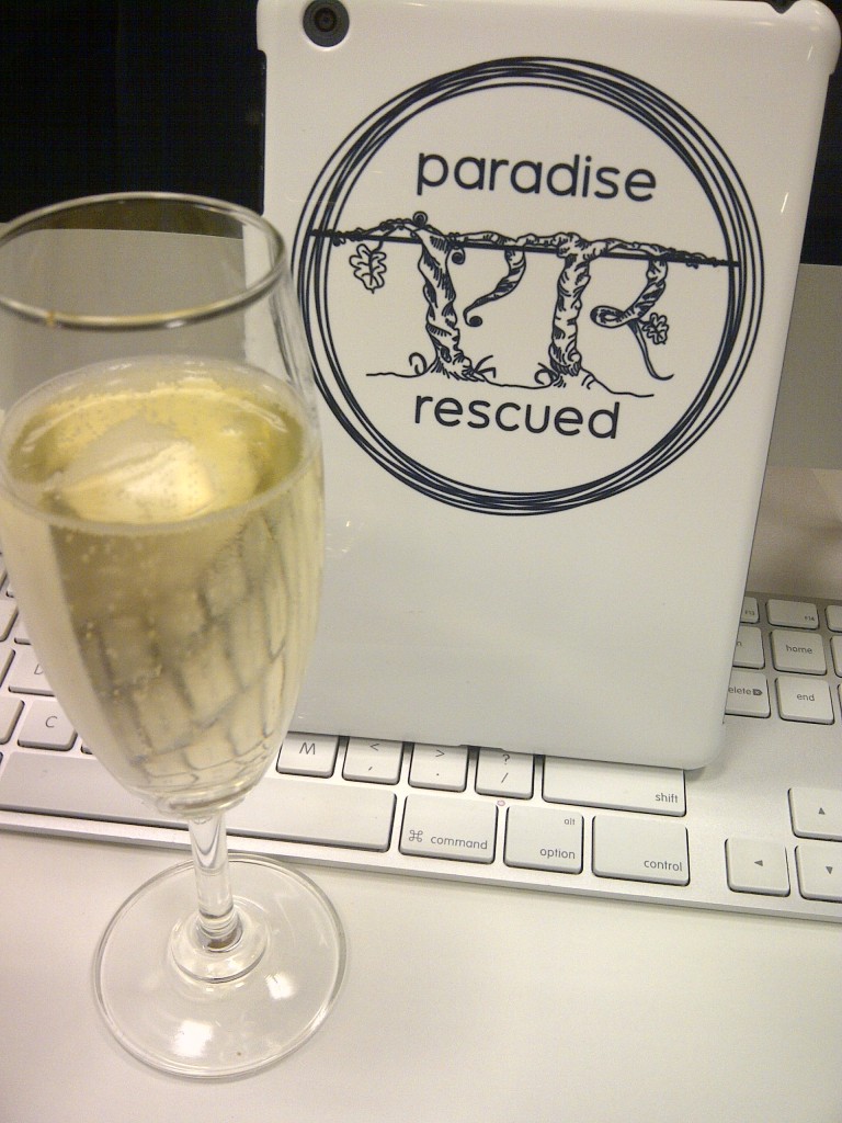The Paradise Rescued iPadMini takes a break before flying home!