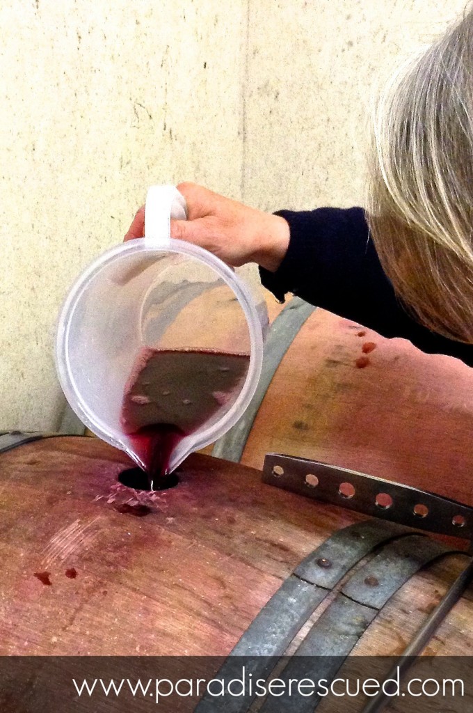 The 2014 wines have run run off into barrel and topped up.